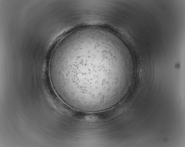 X0000116280591200912211821