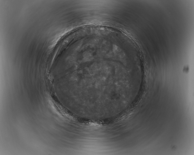 X0000116280592200912211821