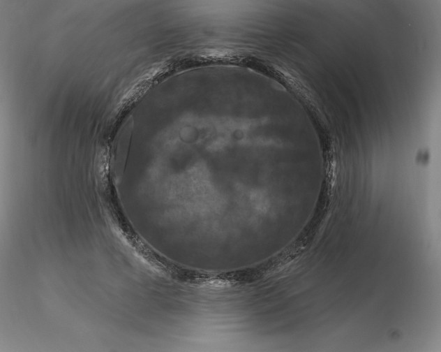 X0000116280593200912211821