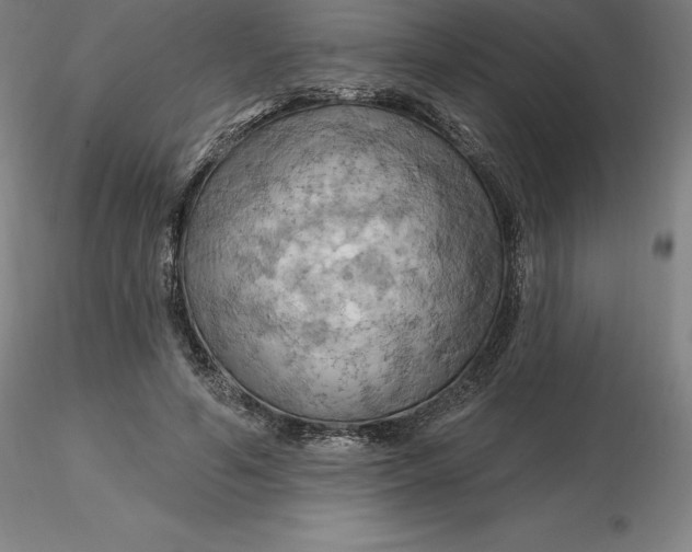 X0000116280594200912211821