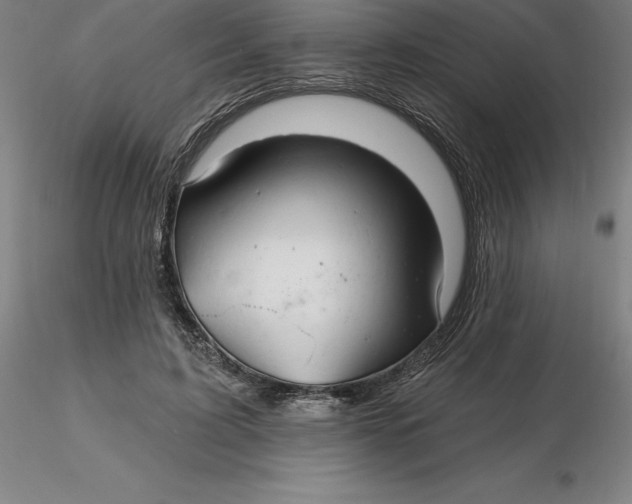 X0000116280595200912211821