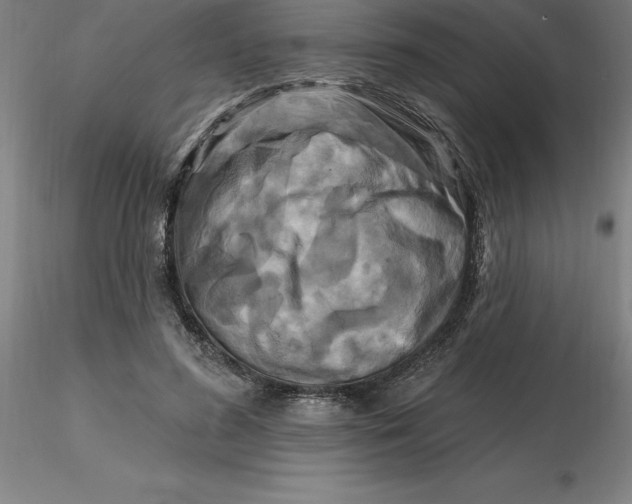 X0000116280596200912211821