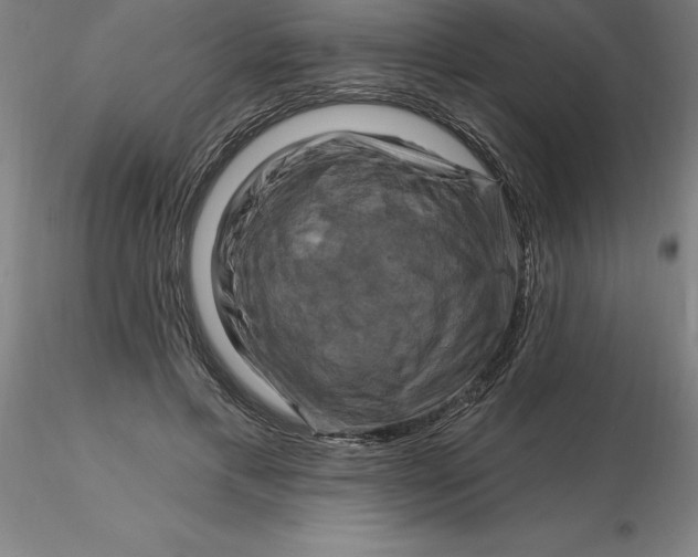 X0000116280597200912211821