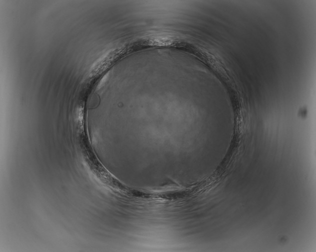 X0000116280598200912211821