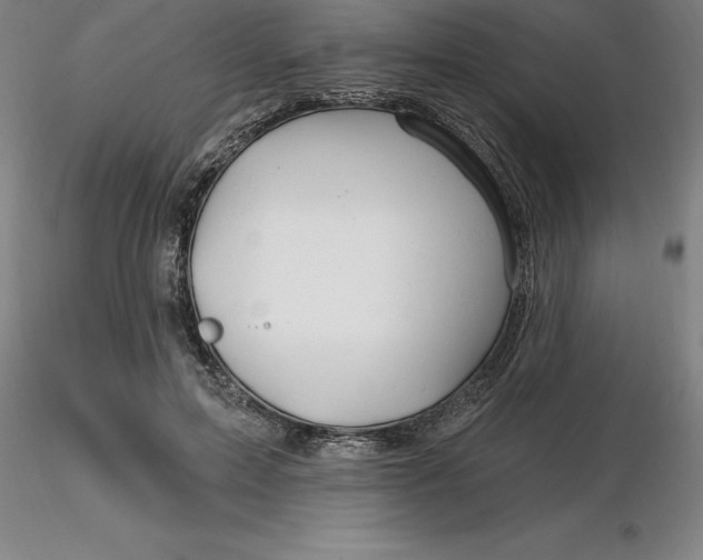 X0000116280599200912211821