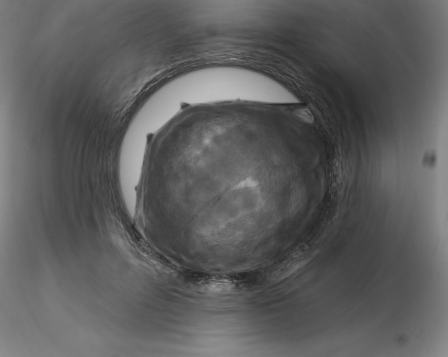 X0000116280600200912211821