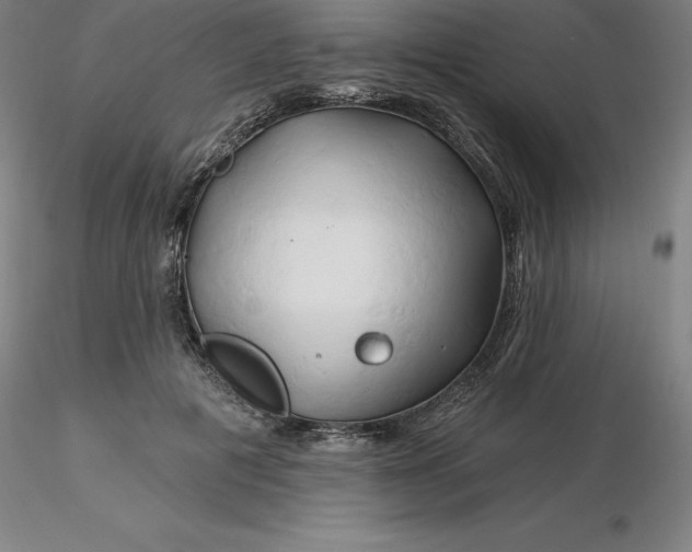 X0000116280601200912211821