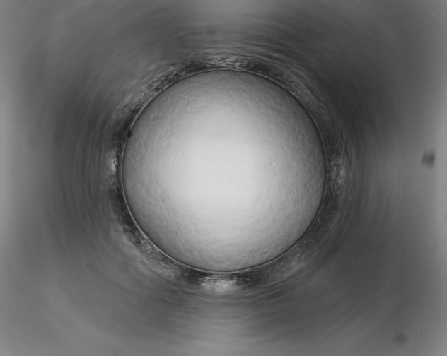 X0000116280602200912211821