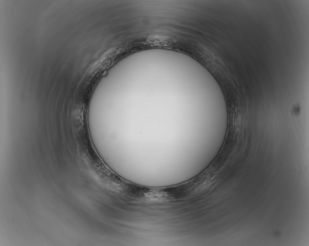 X0000116280603200912211821