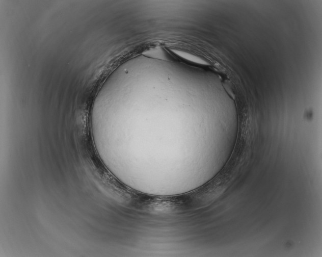 X0000116280604200912211821