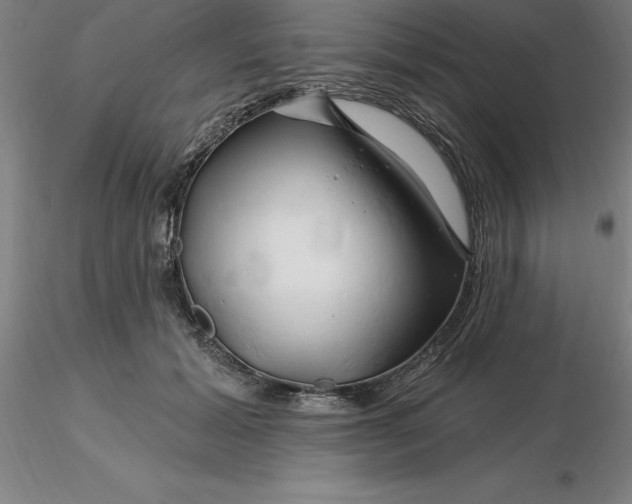 X0000116280605200912211821