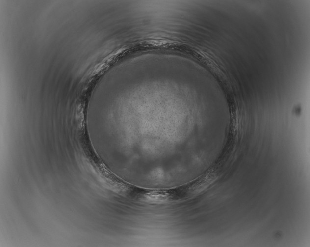 X0000116280606200912211820