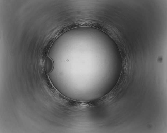 X0000116280607200912211820