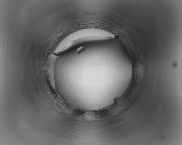 X0000116280608200912211820