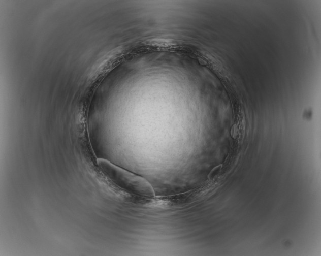 X0000116280609200912211820