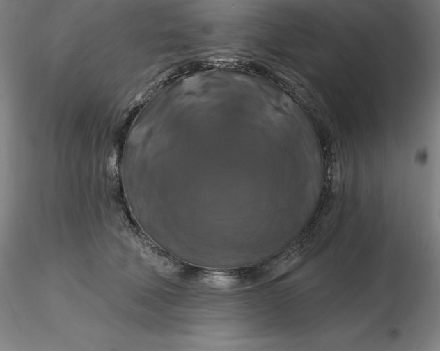 X0000116280610200912211820