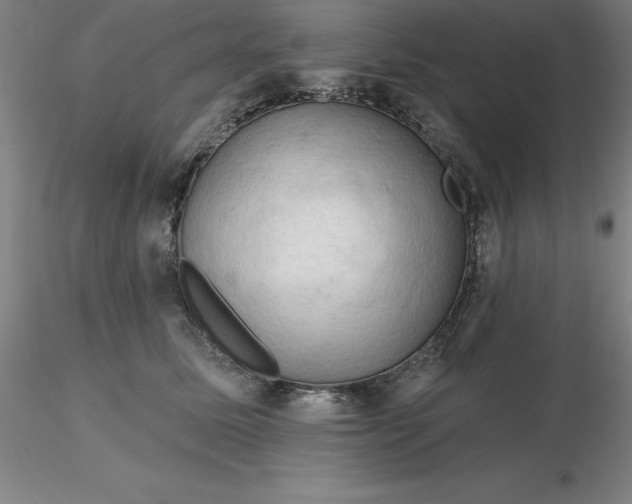 X0000116280611200912211820