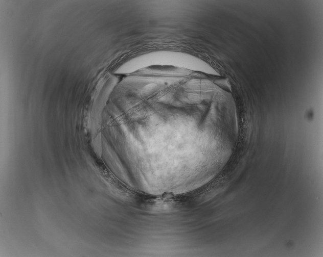 X0000116280612200912211820