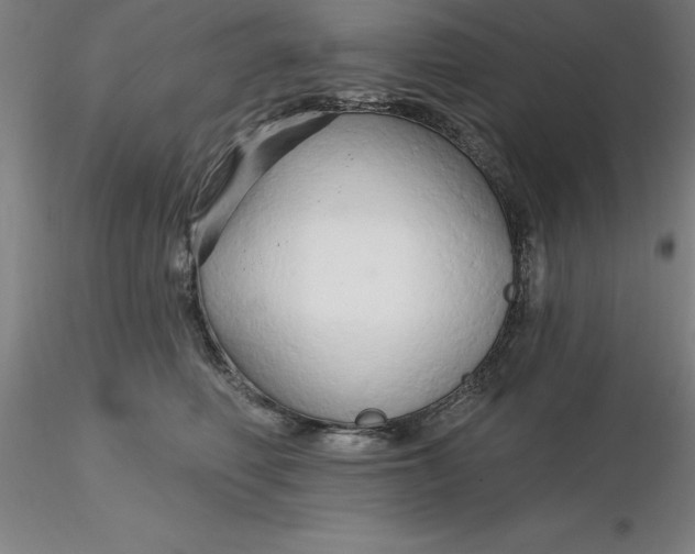 X0000116280614200912211820