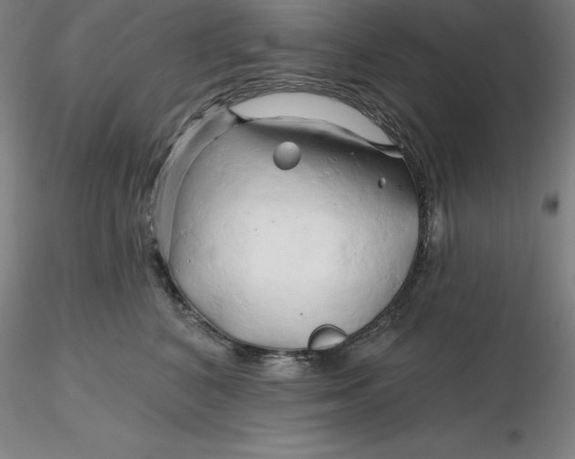 X0000116280616200912211820