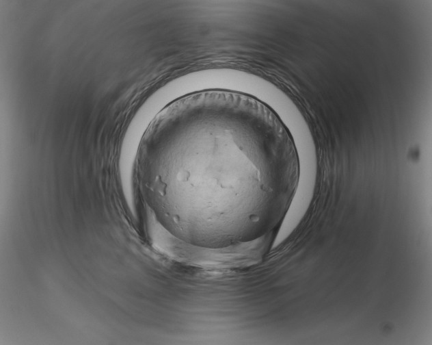 X0000116280617200912211820