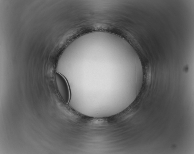 X0000116280619200912211820