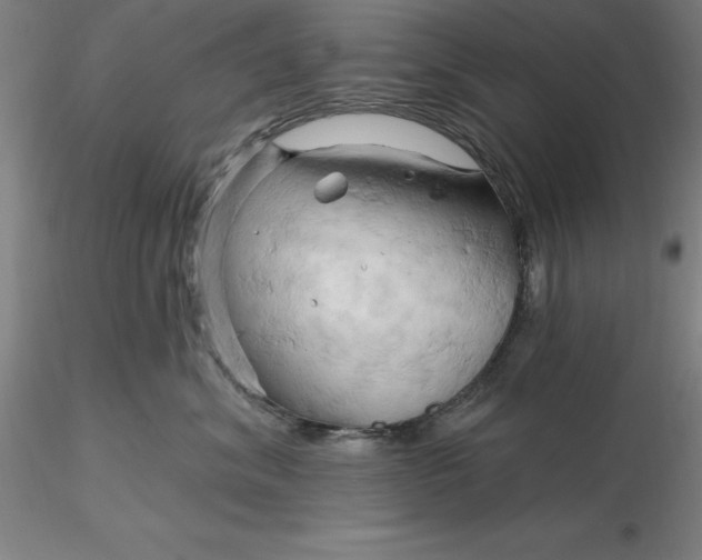 X0000116280620200912211820