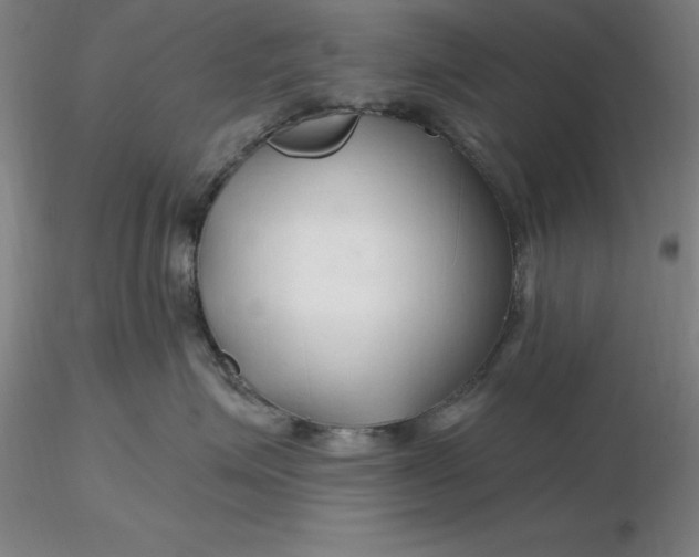 X0000116280623200912211820