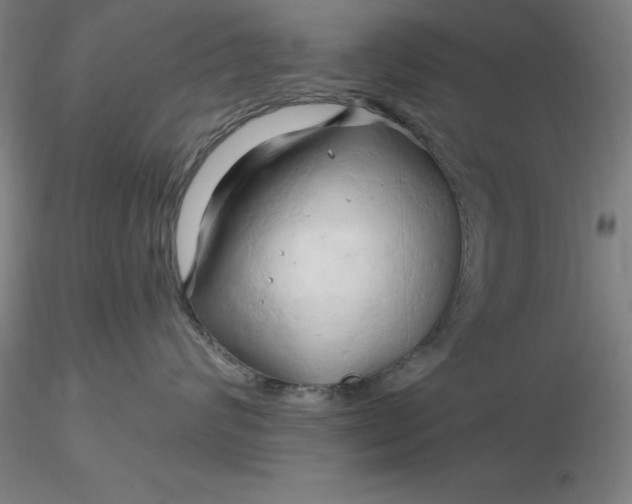 X0000116280624200912211820