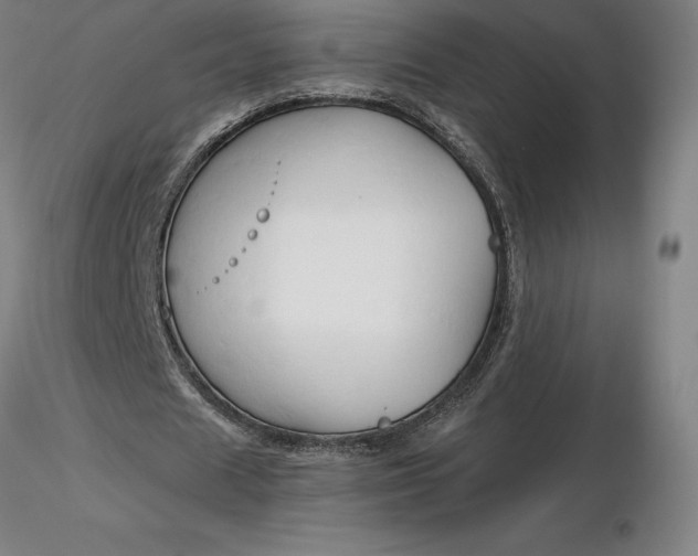 X0000116280625200912211820