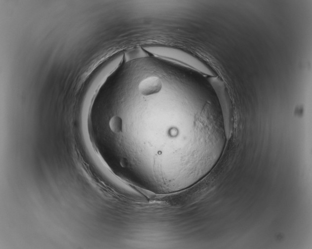 X0000116280626200912211820