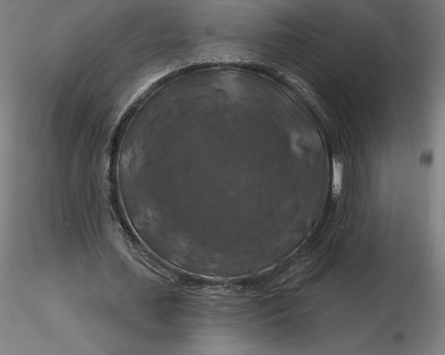 X0000116280627200912211820