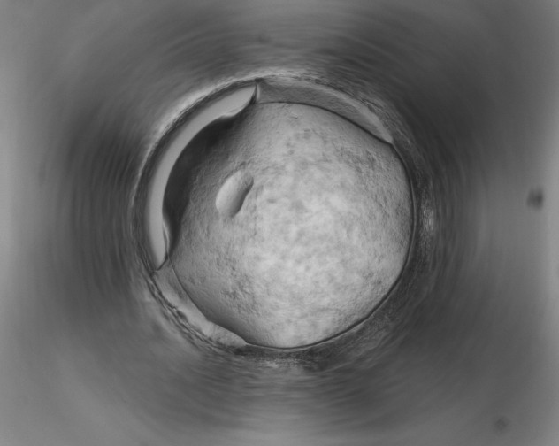 X0000116280628200912211820