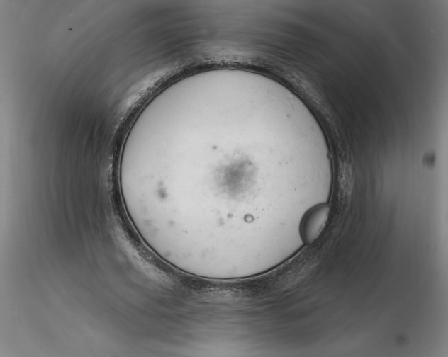 X0000116280629200912211820