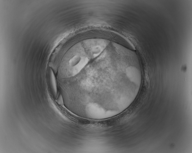 X0000116280630200912211820