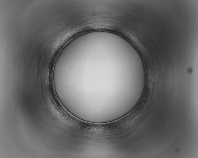 X0000116280631200912211820