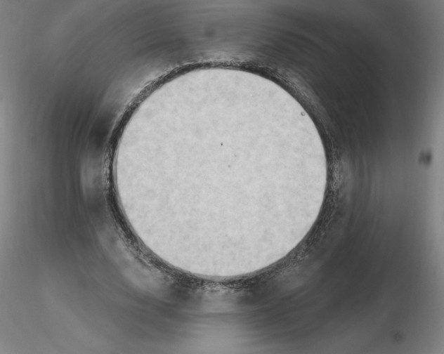 X0000116280632200912211820