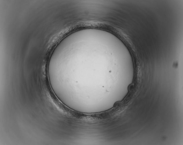 X0000116280633200912211820