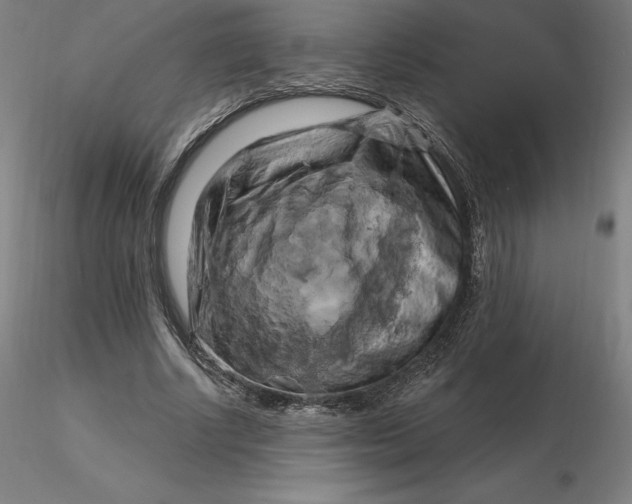 X0000116280634200912211820