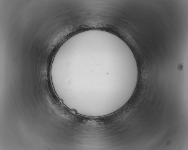 X0000116280635200912211820