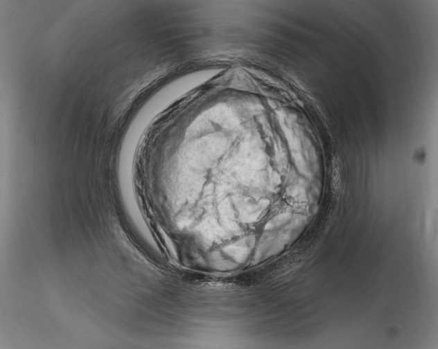 X0000116280637200912211820