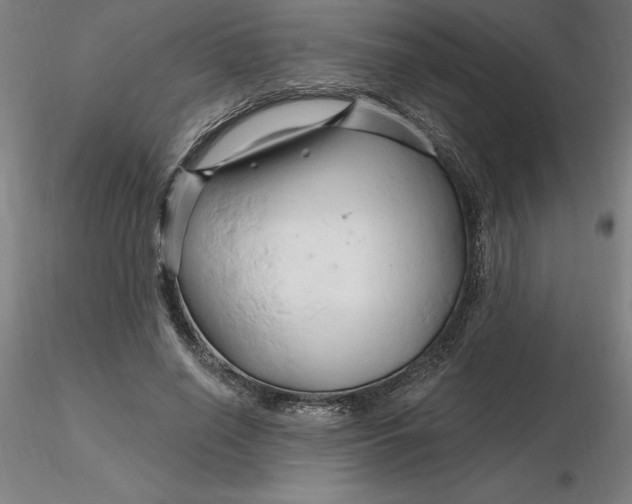 X0000116280638200912211820