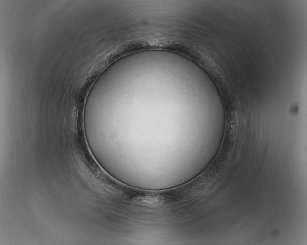 X0000116280639200912211820