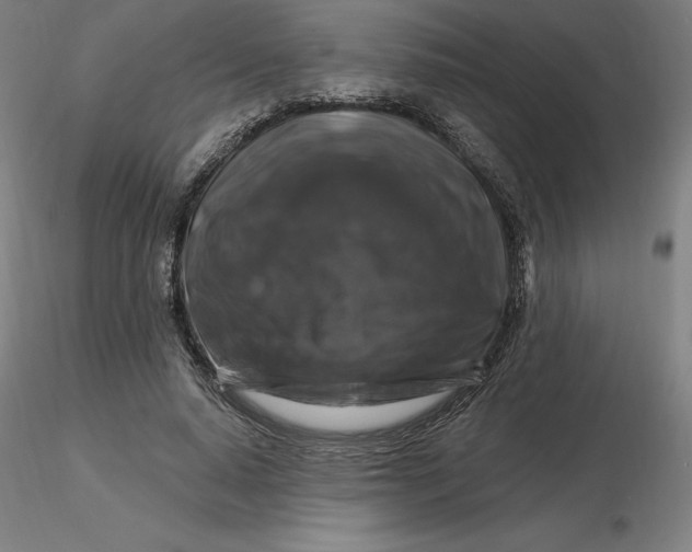 X0000116280640200912211820