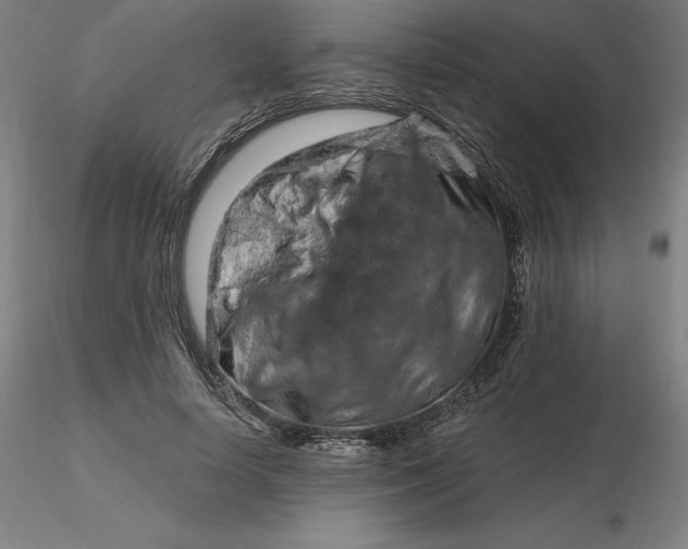 X0000116280642200912211820