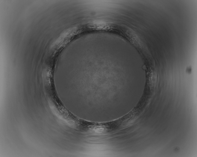 X0000116280643200912211820