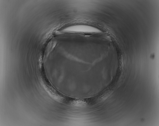 X0000116280644200912211820