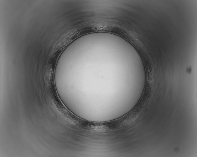 X0000116280645200912211820