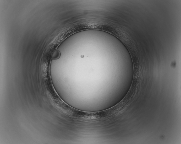 X0000116280646200912211820