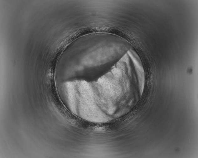 X0000116280647200912211820